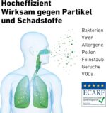 Infografik: blaues Menschensymbol mit Lungen, ausströmende Partikel, Text 'Hocheffizient Wirksam gegen Partikel und Schadstoffe' sowie Liste der Partikelarten und ECARF-Siegel.