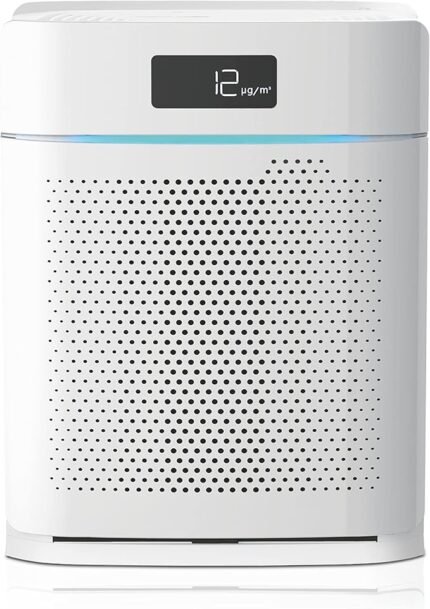 White compact air purifier with a perforated front panel, digital display showing 12 μg/m³ and a blue accent light.
