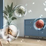 Floating bubbles hover in a sunny living room, each bubble showing a close-up of a spiky microorganism near a blue cabinet and plant life behind.