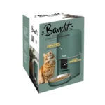 Bandit smart cat feeder box with built-in camera and food bowl, featuring a curious cat beside kibble. This is packaging for an intelligent automatic feeder for cats.