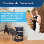 Dog eating from a smart pet feeder while a woman uses a smartphone to control meals remotely.