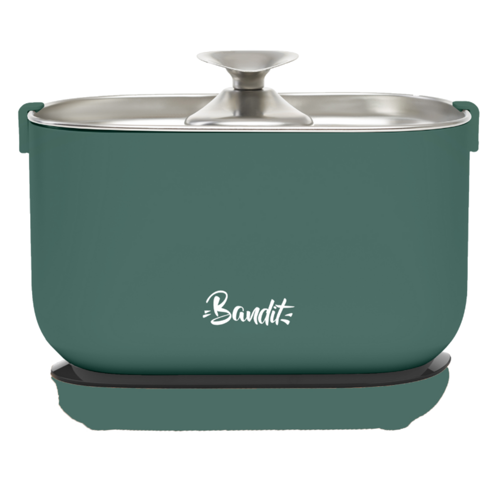 780e6f02317571fb - NEVORIXT Teal Bandit pot with a stainless steel lid on a black electric base surface, brand logo visible