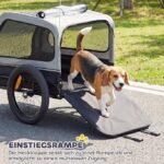 Beagle stepping off a small wagon via a gray pet ramp, outdoors in a park setting with green grass behind it.