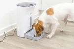 White automatic pet feeder with a shallow gray feeding tray, while a dog eats from it on a wooden floor.