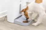 Dog eating dry kibble from an automatic pet feeder on a wood floor in a home setting.
