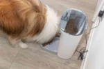 Dog eating from a white automatic pet feeder dispensing dry kibble into a tray on a wooden floor.